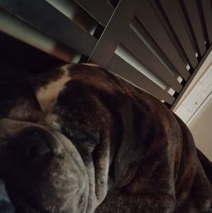 Meet your Posher, Brian